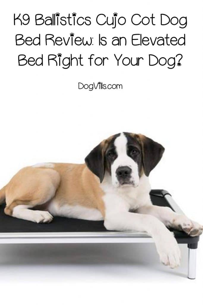 K9 Ballistics Cujo Cot Dog Bed Review Is an Elevated Bed Right for