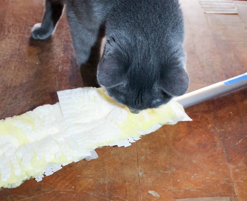 Stop shedding from spreading with Swiffer Heavy Duty Pet lineup!