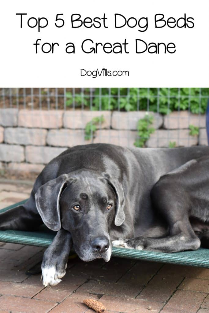 What is the Best Dog Bed for a Great Dane (with Reviews ...