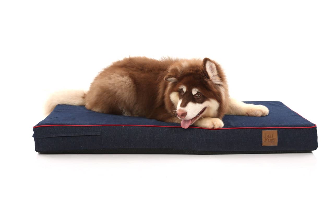 laifug dog beds