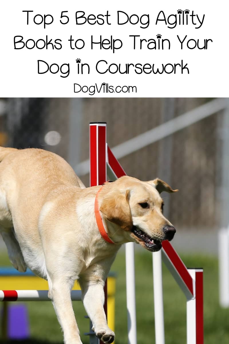 Top 5 Best Dog Agility Books To Help Train Your Dog In Coursework
