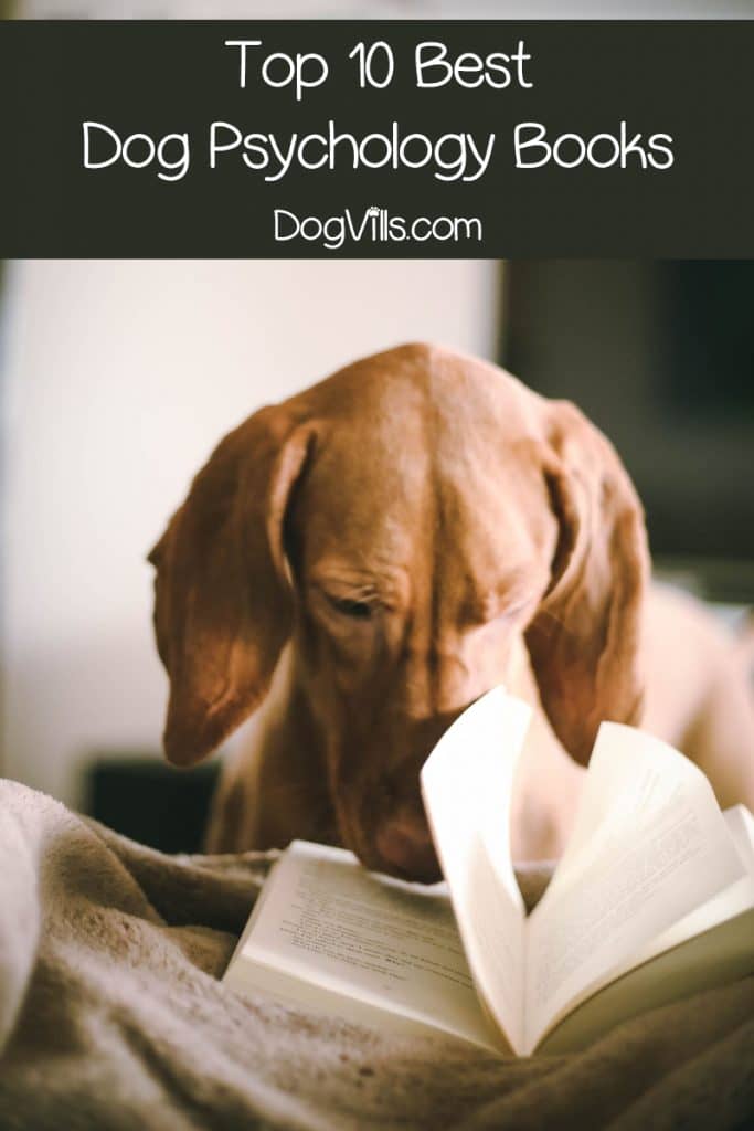 Top 10 Dog Psychology Books Every Pet Parent Should Read DogVills