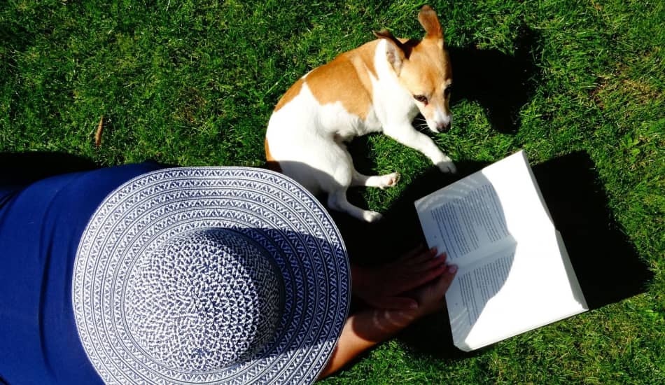 Top 10 Dog Psychology Books Every Pet Parent Should Read DogVills