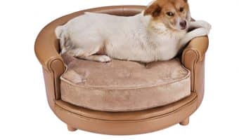 Looking for the best leather dog beds? We've got you covered! Read on to discover our top 5 favorite leatherette and suede beds for your dog.