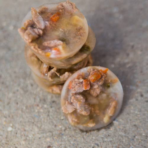 Easy Dog Popsicles