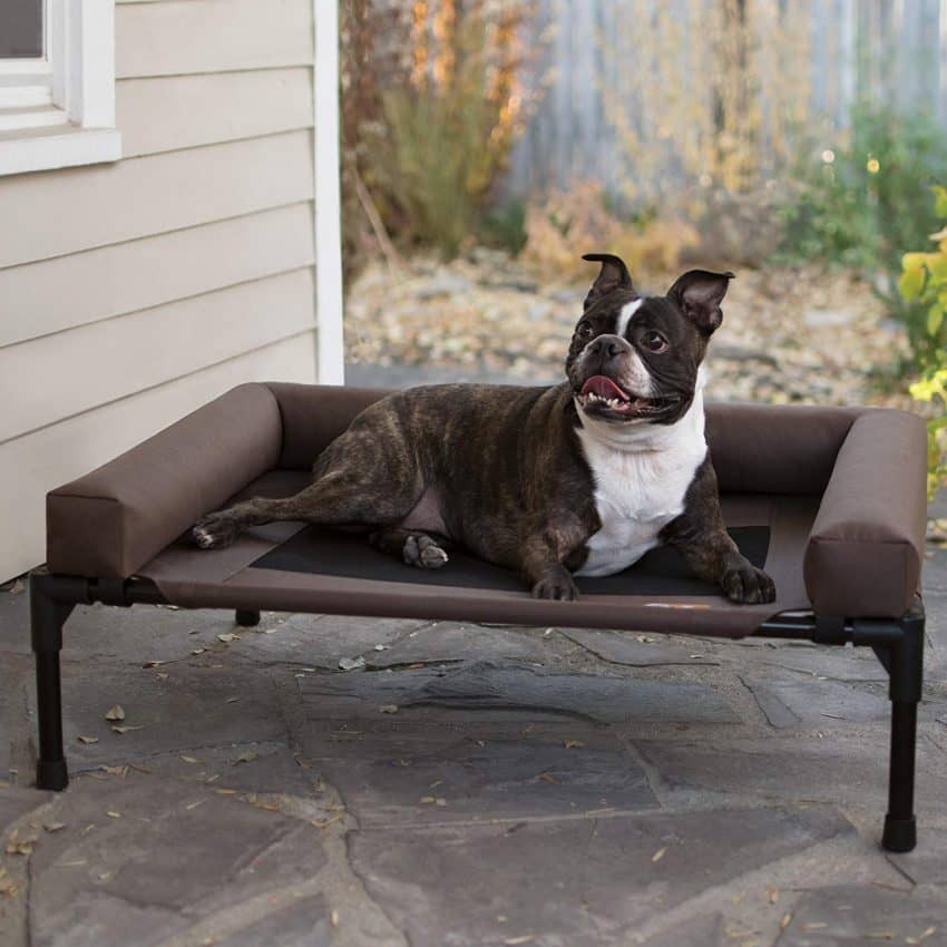 Top 5 Best Elevated Dog Beds on Legs (with Reviews) DogVills