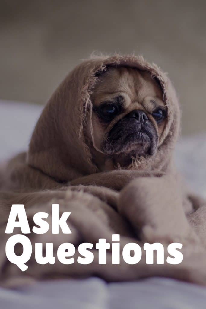 You can never ask too many questions of your vet.