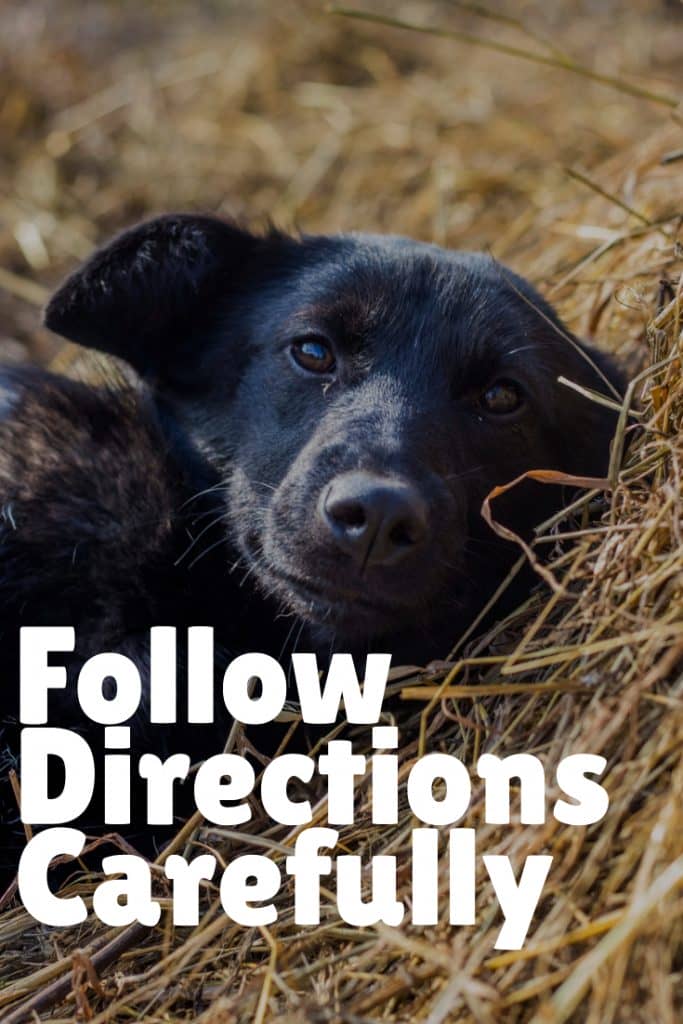Effectively caring for a sick dog at home requires strict adherence to your vet's medical advice.