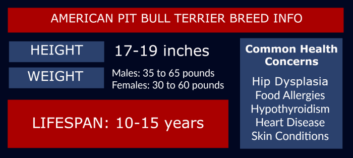 Pitbull Height And Weight Chart