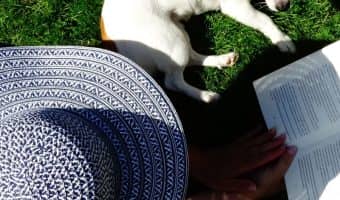 Looking for the best books about rescue dogs to curl up with? These ten will give you all the feels!