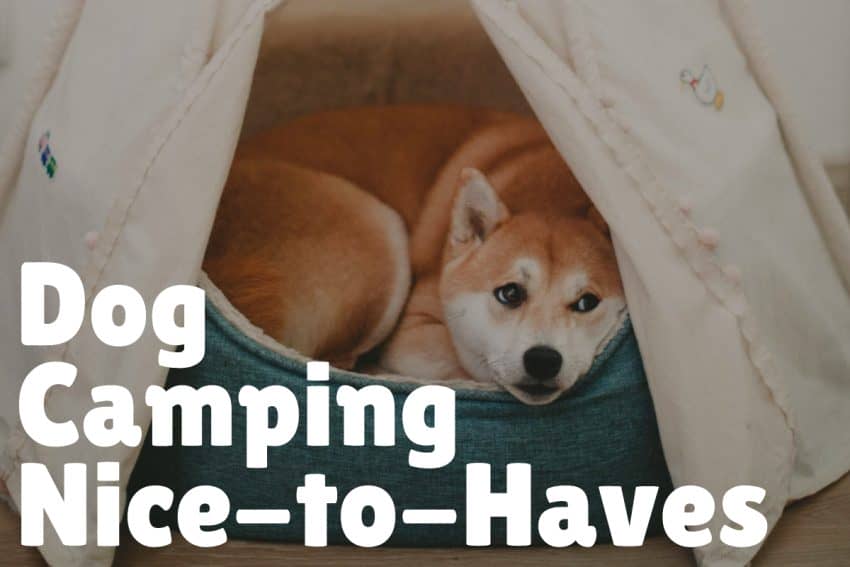 Sure, you can have a successful camping trip with your dog without these items below, but they sure do make things easier!