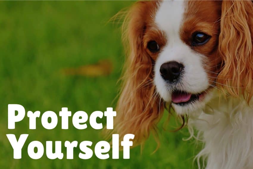 If you have an iffy dog in the neighborhood which is constantly off-leash, consider getting a self-defense spray.
