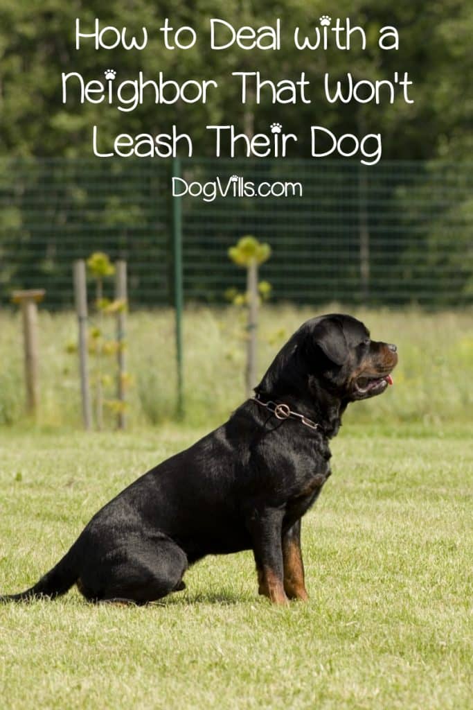 Unleashed dogs aren't usually cause for concern if you keep your cool. Find out what to do- and what not to do- when you encounter an off-leash dog.