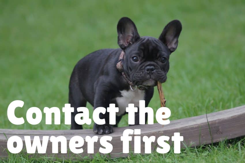 Contact Owners About Unleashed Dogs