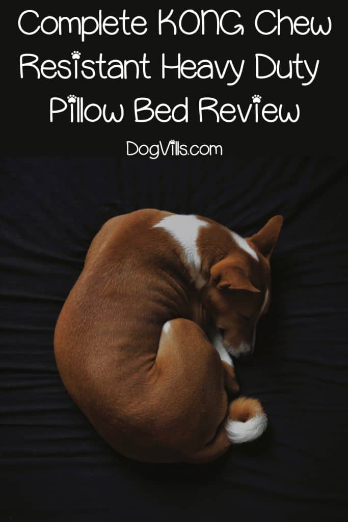 Complete KONG Chew-Resistant Dog Bed Review: Is it a Good Buy?