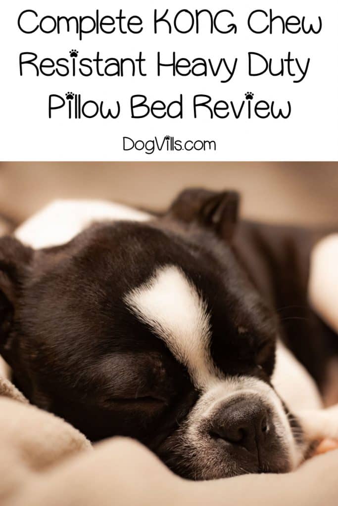 Looking for a complete KONG Chew Resistant Dog Bed review to decide if it's worth buying? Check out our guide to the features, pros & cons!
