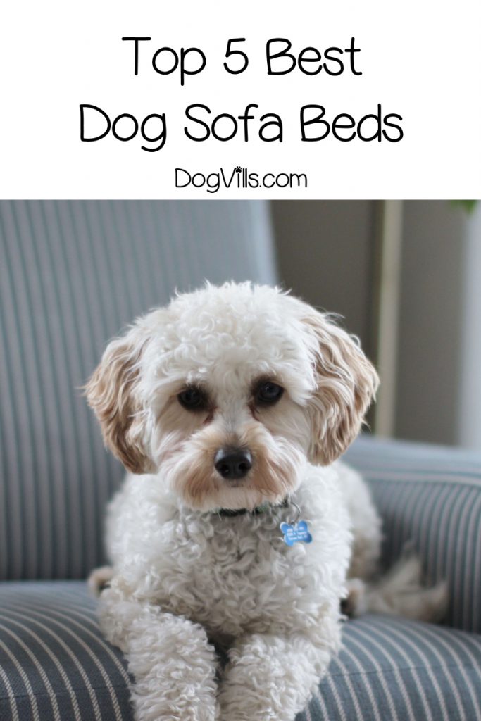 Looking for the best dog sofa beds to replace your traditional flat bed? Check out our top 5 recommendations that your dog will love!