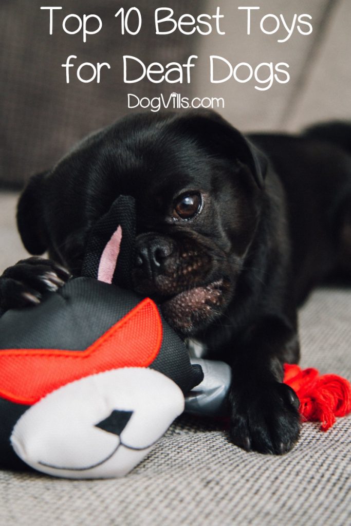 Top 10 Best Toys for Deaf Dogs - DogVills
