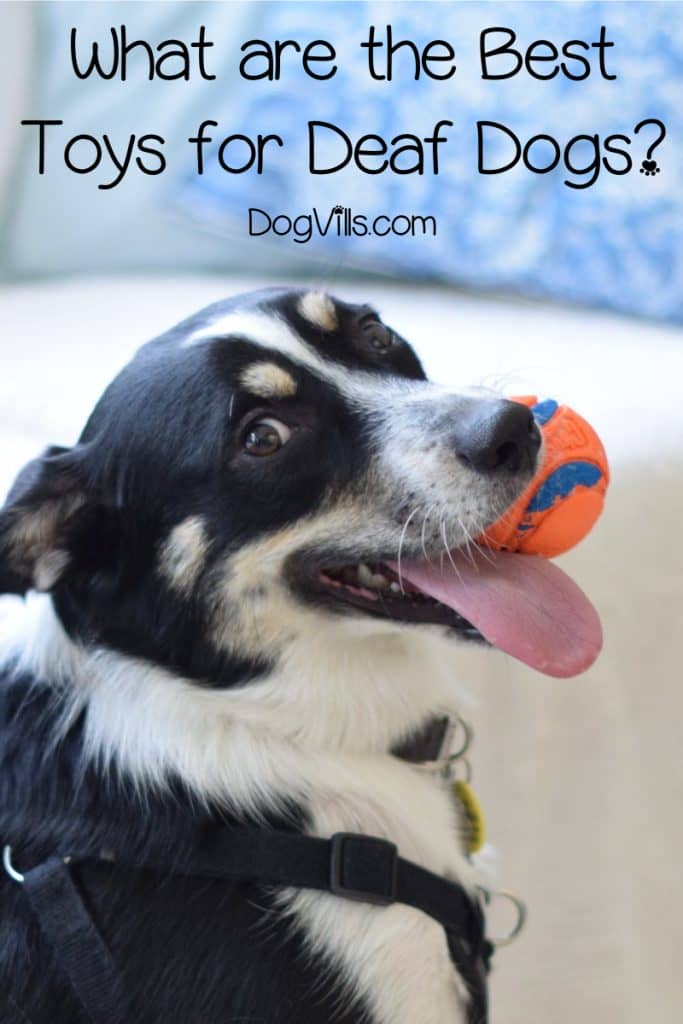 Looking for the best toys for deaf dogs? Read on for our top ten picks that stimulate their other senses, plus find out what to consider when shopping for deaf dog toys!