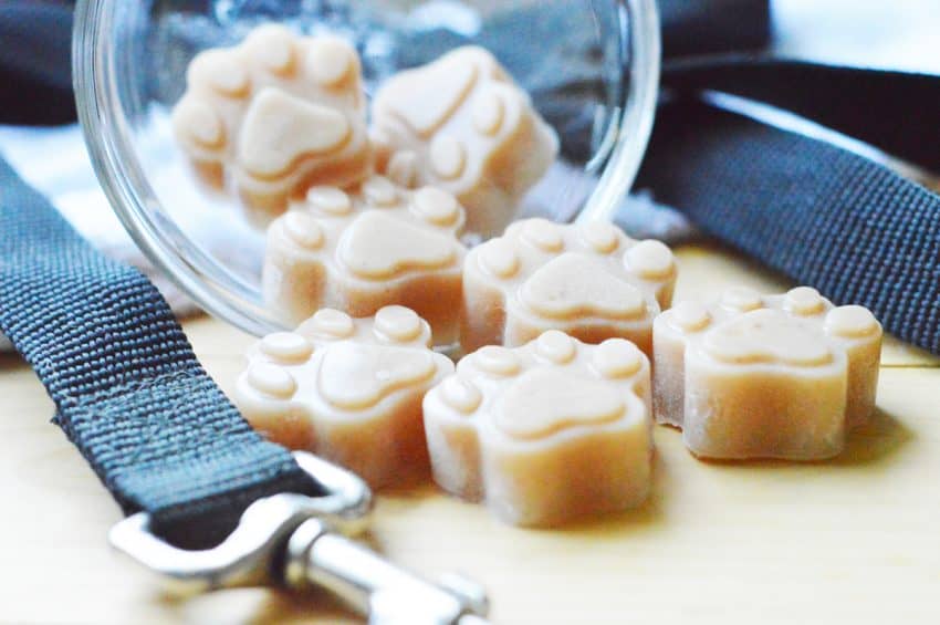 If you're looking for a unique reward to use in training sessions, you'll love our homemade gummy dog training treat recipe! Check it out!