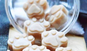 If you're looking for a unique reward to use in training sessions, you'll love our homemade gummy dog training treat recipe! Check it out!