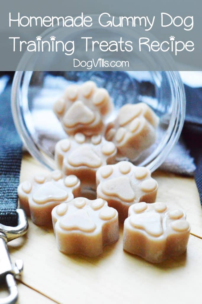 Homemade Gummy Dog Training Treat Recipe - DogVills