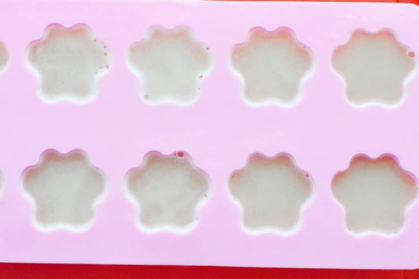 If you're looking for a unique reward to use in training sessions, you'll love our homemade gummy dog training treat recipe! Check it out!