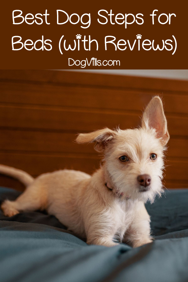 Whether you have a senior dog with mobility issues or a short little pup, these dog steps for your bed will help them get a leg up...literally! Check them out! 