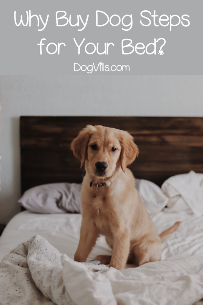Whether you have a senior dog with mobility issues or a short little pup, these dog steps for your bed will help them get a leg up...literally! Check them out!