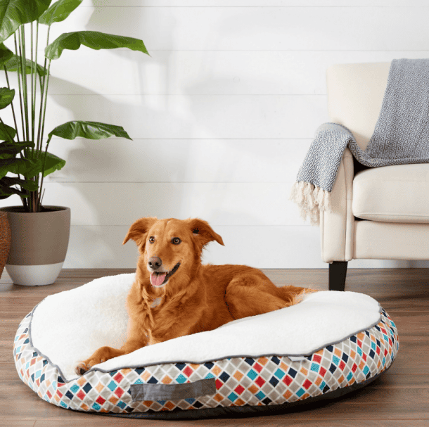 Top 10 Best Dog Beds for 2 Dogs DogVills