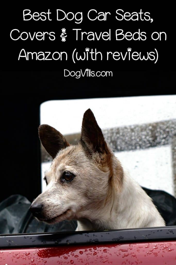 If you're hitting the road with Fido, you definitely want to check out the best dog beds for cars, dog car seats, and other safe travel solutions! Take a look!