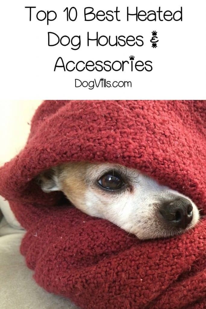 best heated dog houses