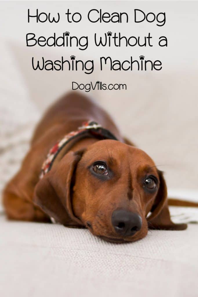 how to clean dog bed without removable cover
