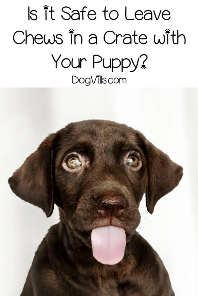 Is it ok to leave puppy alone with bully stick or other chew?