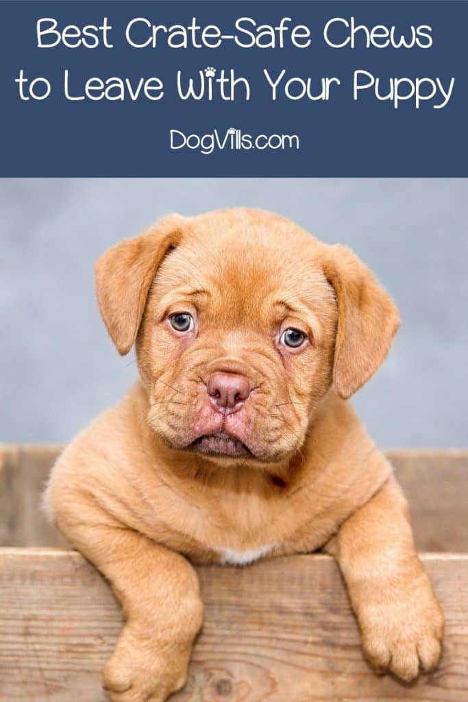 bully stick in crate