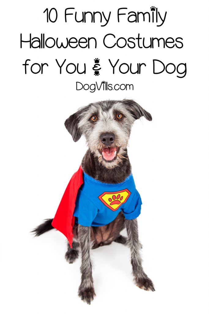 These Family Halloween Costumes For You And Your Dog are the perfect way to incorporate your dog into a fun costume theme this year.