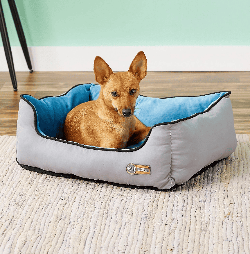 Top 10 Best Warm Dog Beds for Winter DogVills