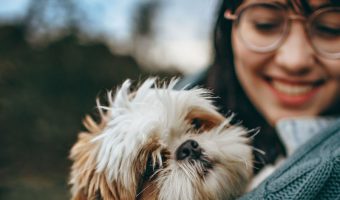 Have you ever asked why does my dog bite me and not my husband? This article talks about why the dog bites someone, and how to stop it from biting you.
