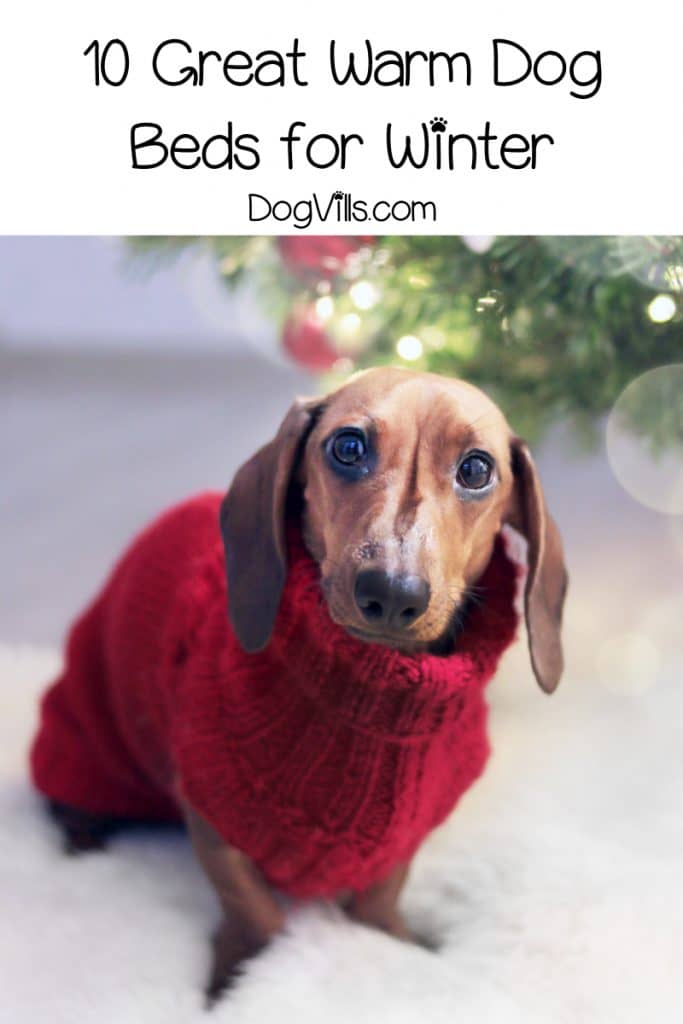 Top 10 Best Warm Dog Beds for Winter DogVills