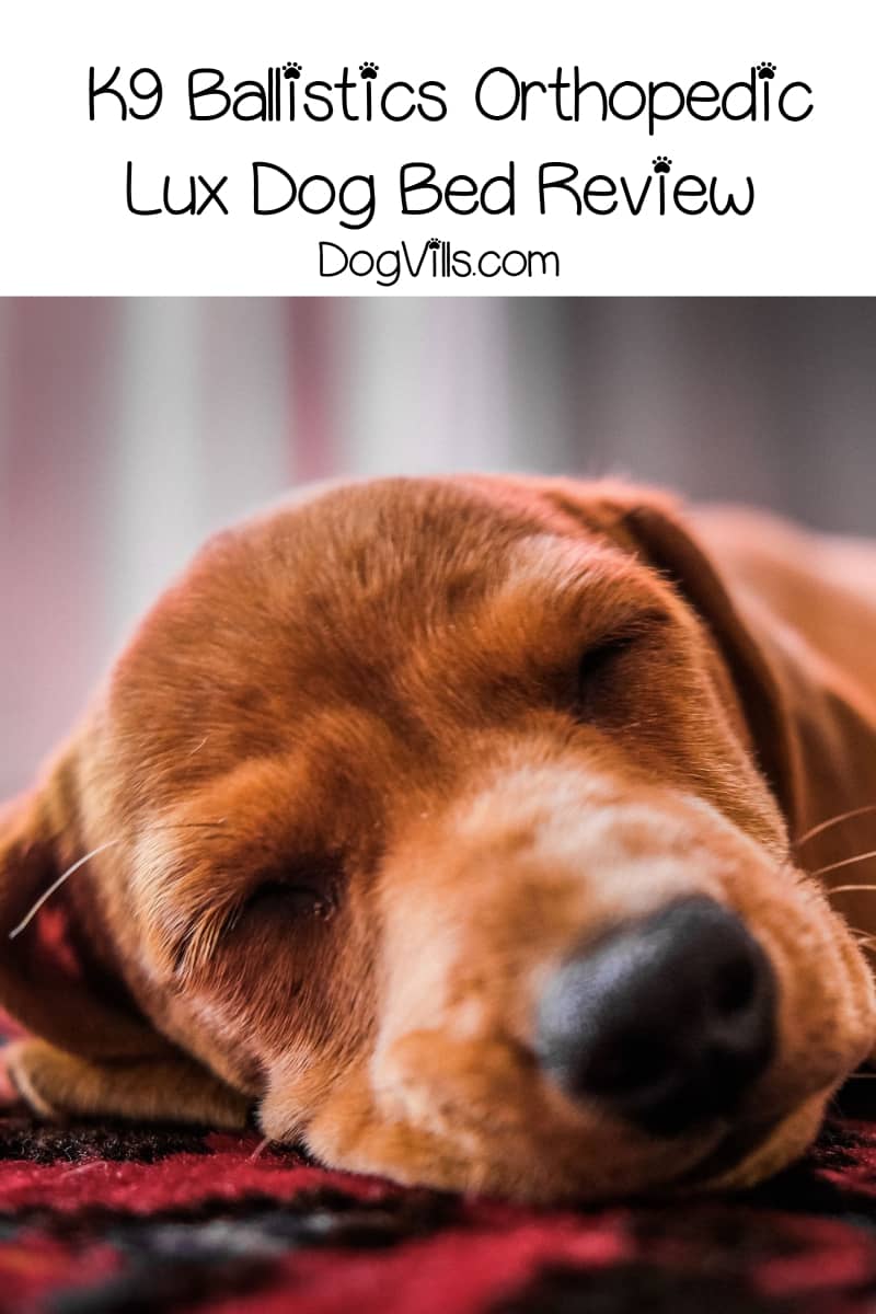 Complete K9 Ballistics Orthopedic Lux Bed Review DogVills