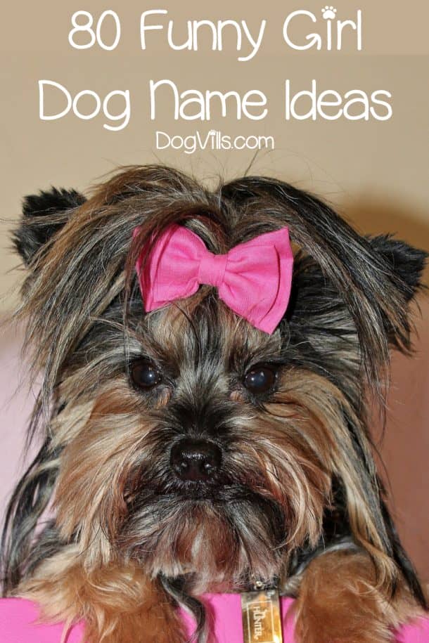 funny names for a female dog