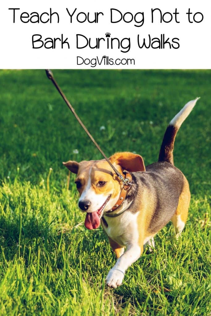 7 Steps for Teaching Your Dog Not to Bark During Walks http//www