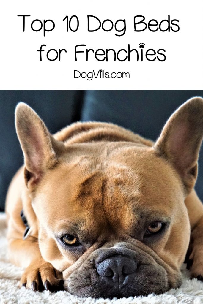 If you're searching for the best dog beds for French Bulldogs, you'll love our list! Check out 10 diverse options for your little lady or gentleman!