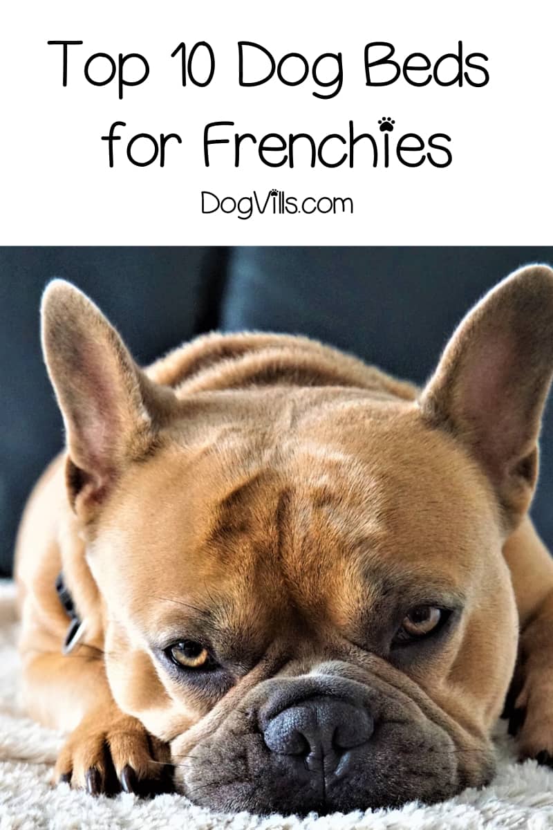 Top 10 Best Dog Beds for French Bulldogs DogVills