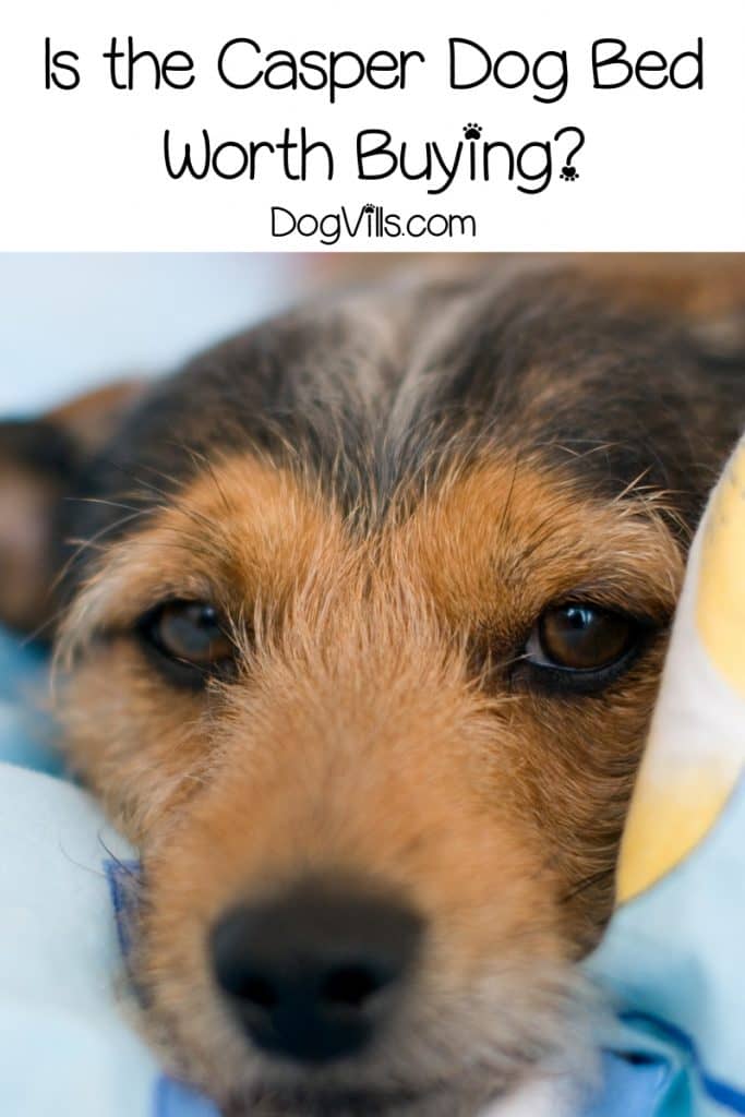 If you're looking for a Casper dog bed review to find out if it's worth buying, I've got you covered! Read on for everything you need to know!