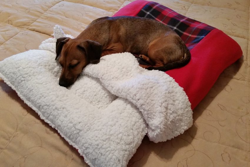 stuffed burrow bed for dachshunds