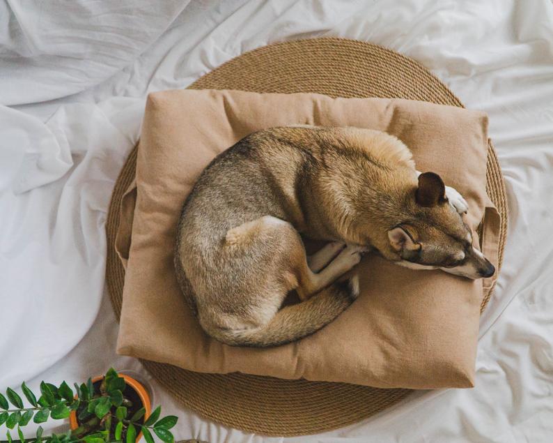 Boho style dog bed