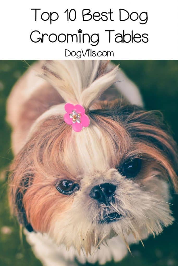 dog grooming top
