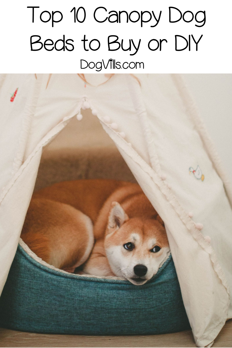 10 Best Canopy Dog Beds for Outdoor Use - http://www.dogvills.com