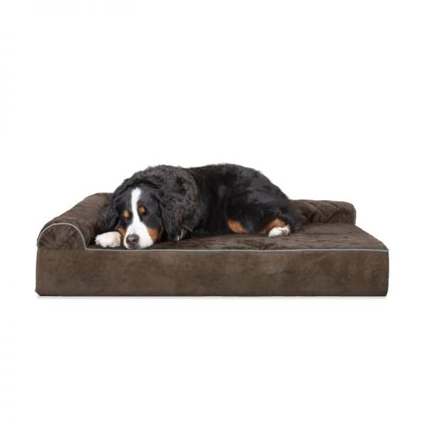 Top 10 Best Dog Beds for Rottweilers DogVills